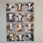 8 Im Haus Hallig Hooge